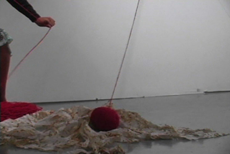 2004
Les voies silencieuses
Claudia Bernal