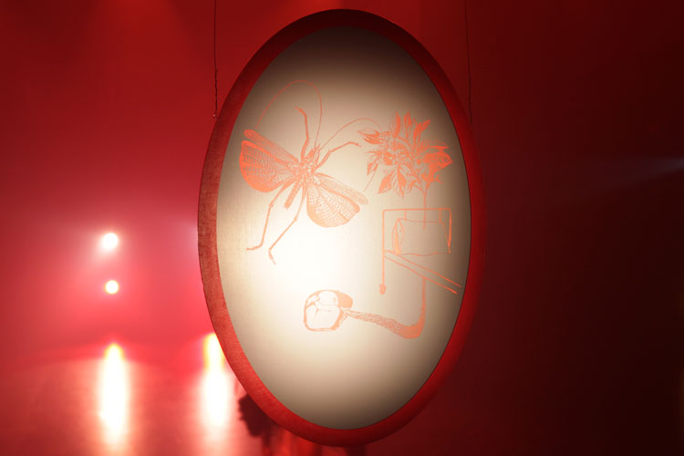 2014
L’envers des îles blanches
Claudia Bernal