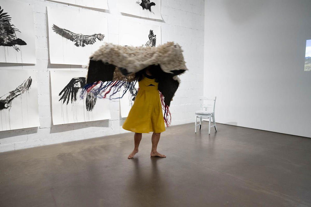 2024
Entre brouillard et cicatrices, résister.
Claudia Bernal